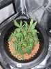 IMG_1607.jpeg
