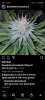 Screenshot_20210412-201653.png