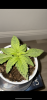 E1DE4F90-966B-4C7D-A9C6-B4250BFAE3EA.png