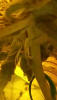 Screenshot_2021-04-27-23-56-46.png
