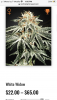 B0CF42AD-4C19-41A6-BF26-D0A42FBF7DE5.png