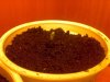 24032007100.jpg