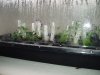 P1010001.jpg