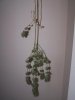 100_4593.jpg