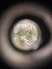 B4E62E31-F438-448C-8FB9-8652DE967CCC.jpeg