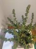 PXL_20210702_135846748.jpg