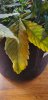 20210708_161645.jpg