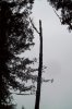 103_1187.jpg