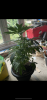 D2253787-5092-4C0F-AC28-9A0B1EAB9364.png