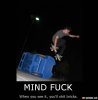 skateboarder-mindfuck-39441.jpg