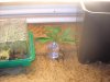 DSCN0892 [Desktop Resolution].jpg