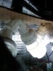 2009-07-15 23.50.56.jpg