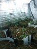 2009-07-15 23.51.44.jpg