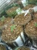 2009-07-15 23.51.52.jpg