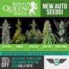 Royal Queen Seeds New Autos.jpg