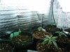 2009-07-17 19.52.44.jpg