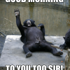 good-morning-to-you-too-sir-33225608-500x500.png