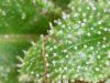 Image_2021-09-19 14_17_04_272.JPG