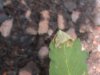 DSC00212.JPG