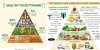 Healthy and keto food pyramid (2019_06_30 16_19_06 UTC).jpg