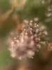 2364DB12-FB68-4E64-9B75-710BC2C2536D.jpeg
