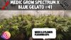 medicgrow-spectrum-x-ep-6-week6.5.jpg