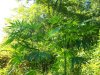 100_3264.jpg