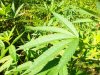 100_3281.jpg
