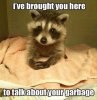 raccoon-meme-about-serious-looking-raccoon-wanting-to-have-a-conversation.jpeg.jpg