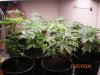 100_0324.jpg