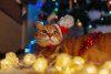 ginger-cat-wears-santa-s-hat-under-christmas-tree-playing-lights-new-year-concept-home-163780909.jpg