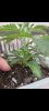 Screenshot_20220112-195134_Gallery.jpg