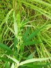 100_3342.jpg
