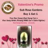 Valentine Promo Sub Rosa Gardens.jpg