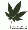 indica_cannabis_leaf.gif