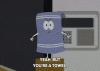 towelie-towel.gif