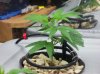 100_1698.jpg