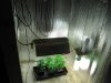 GrowRoom3 001.jpg