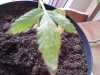 DSC00010.jpg