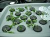 100_0272.jpg