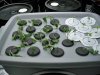 100_0273.jpg