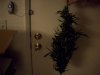 100_1424.jpg