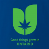 ontario.PNG