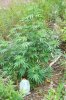 103_2273.jpg