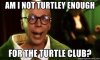 am-i-not-turtley-enough-for-the-turtle-club.jpg