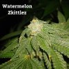 WatermelonZkittlez1.jpg