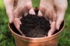 potting-soil-potting-soil-in-pot-dirt-in-pot-shutterstock-com_15947.jpg