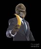 funny-gorilla-wearing-clothes-serious-monkey-business-noirty-designs.jpg