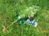 100_3566.jpg