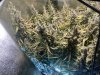 IMG_3057.jpeg